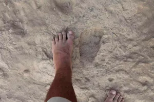 El ‘Homo erectus’ ya caminaba como el hombre moderno hace 1,5 millones de años