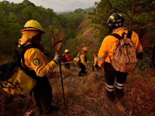 En plena temporada de lluvias reportan 23 incendios en 8 estados