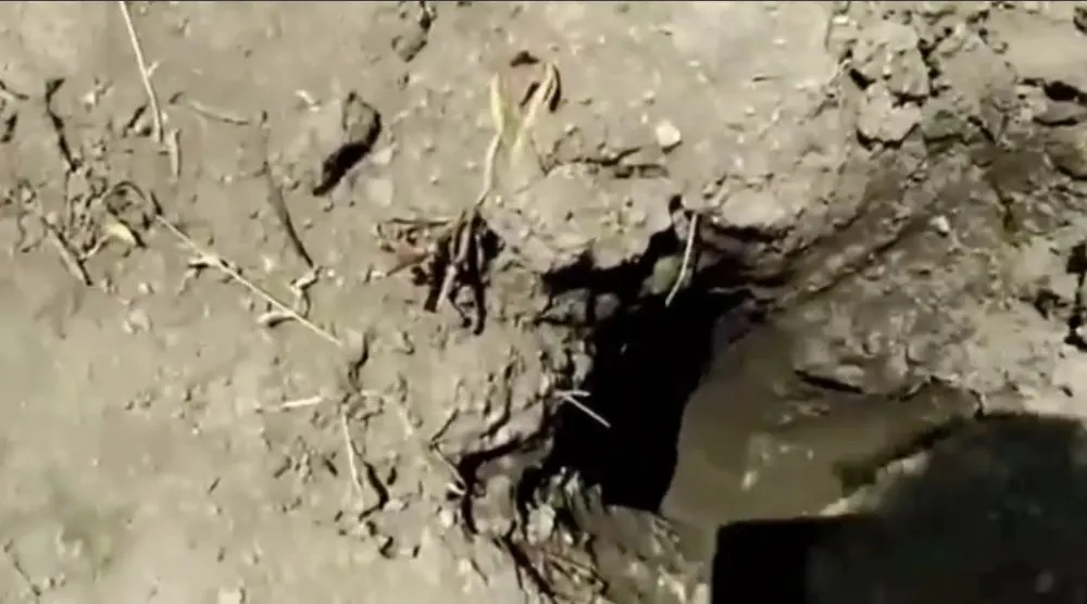 Foto: Captura de Video