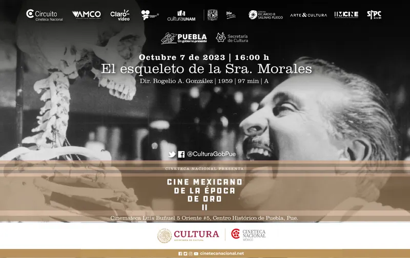 Imagen del artículo