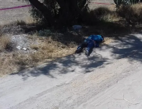 Encuentra a fémina muerta con signos de tortura