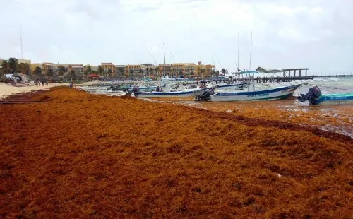 AMLO llama a visitar Quintana Roo; sargazo es “asunto menor”