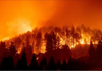 Cuatro muertos por incendios forestales en California