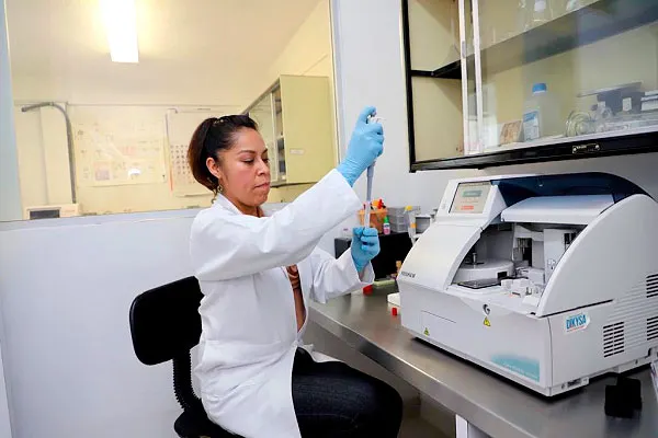 Smdif Pue Laboratorio Umi