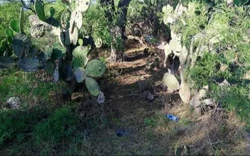 Hallan restos humanos en cerro de Tecamachalco