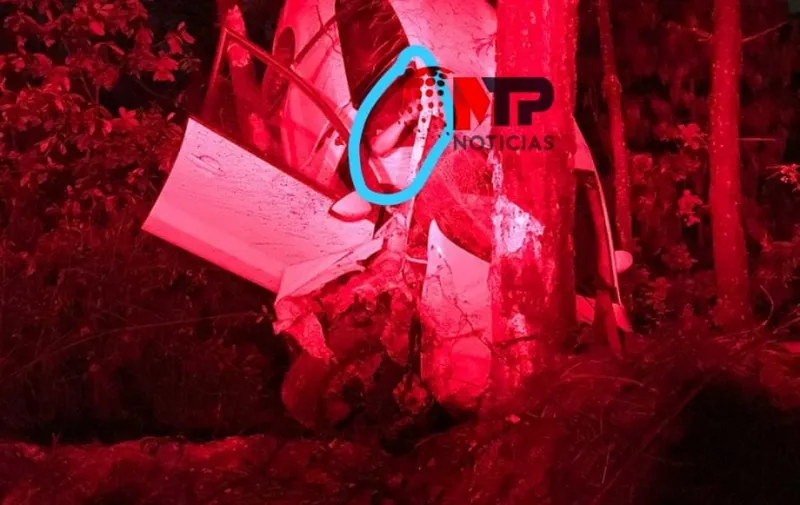 Imagen del artículo