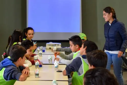 Los pequeños vivirán una experiencia única en el Curso de Verano UDLAP