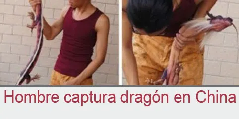 Hombre captura dragón en China