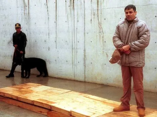 El Chapo es el criminal más peligroso del mundo, advierte la DEA