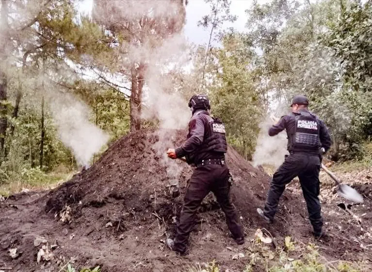 ssp-pue-hornos-clandestinos