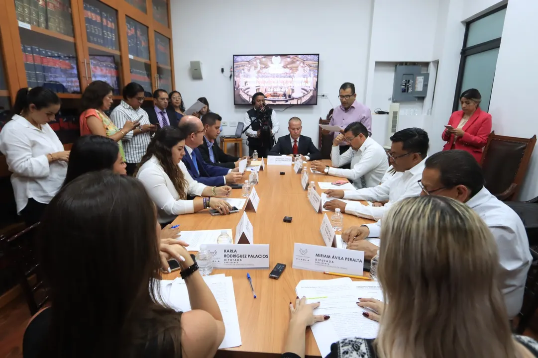 garantizar respeto a derechos humanos