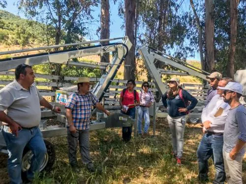 Apoya Sagarpa a jóvenes para capacitarse en materia vitivinícola en Chile