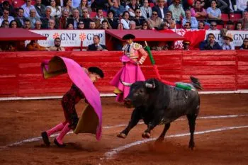 La AMET celebra la protección, promoción y difusión de la cultura taurina en el Estado de Aguascalientes