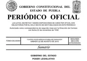 Termina polémica por publicación de leyes secundarias de reforma política