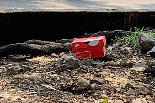 ¡Macabro! Hallan mano dentro de caja de zapatos en Churubusco