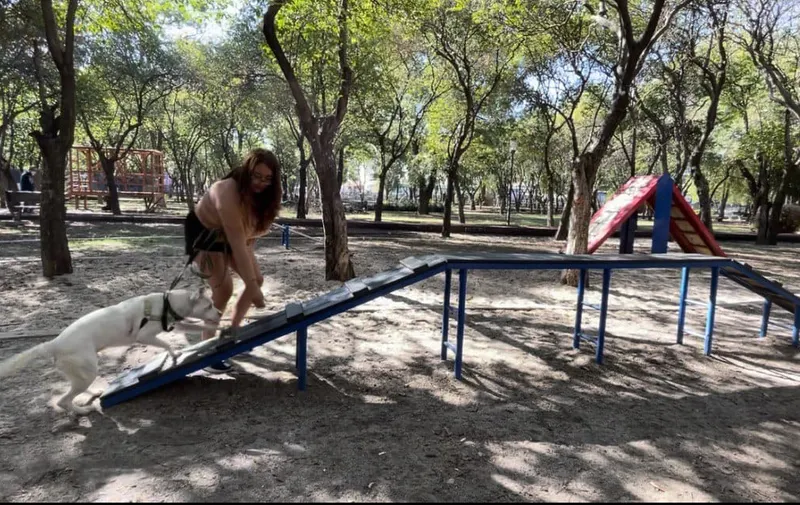 ofrece-medio-ambiente-municipal-curso-de-adiestramiento-canino