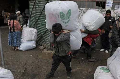 Pacto con FARC impulsó cultivo de coca, reconoce Colombia