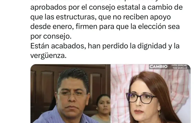 Imagen del artículo