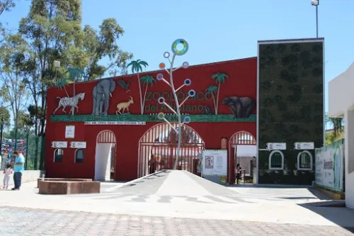 León ataca y deja grave a su cuidadora en el zoológico de Tlaxcala