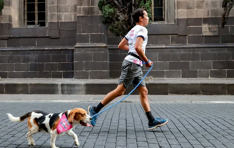 carrera-contigo-y-tus-perritos
