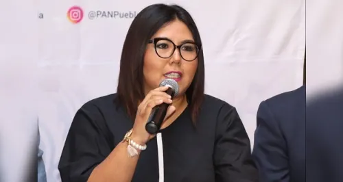 Donación de prerrogativas es igual a debilitar a partidos rumbo a 2021