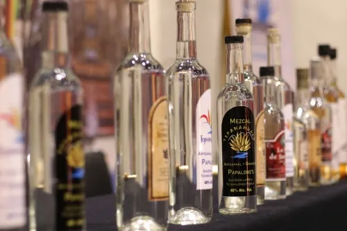 Invitan a la Feria del Mezcal en San Diego la Mesa