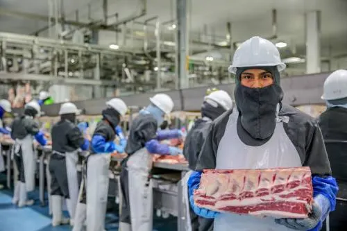 Consolida México el séptimo lugar en ranking mundial como productor de proteína animal