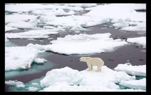 El hielo antártico se redujo en 2018 al segundo nivel más bajo registrado