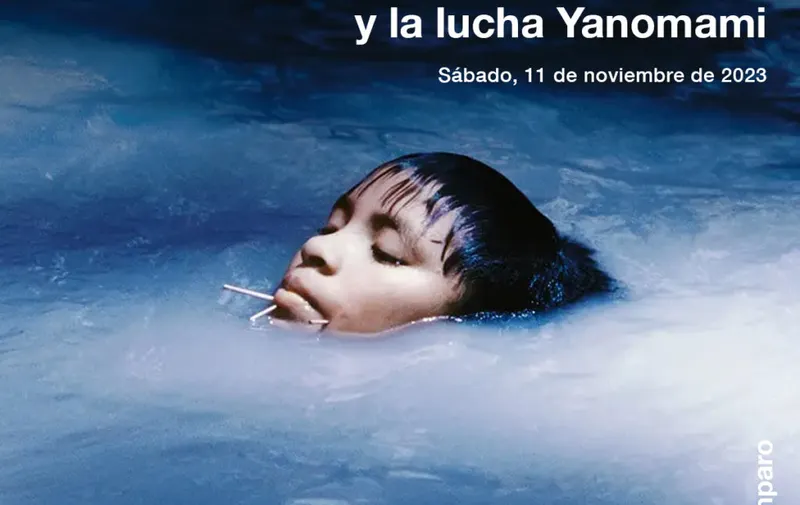 Imagen del artículo