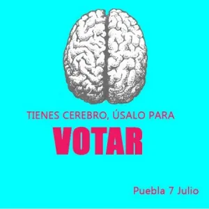 Y tú, ¿tienes cerebro?