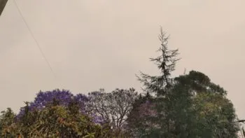 Incendio forestal en Libres continúa activo y afecta la calidad del aire en Puebla