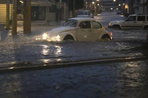 Intensa lluvia ocasiona caída de árboles y postes en la capital