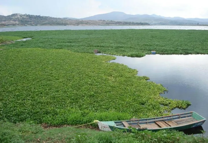 Al 99.3% de capacidad está la presa de Valsequillo, alerta Conagua
