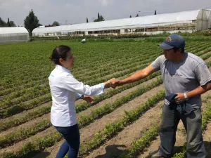 Poblanos reclaman apoyos al campo y los tendrán: Lulú Ocaña