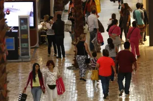Presupuesto familiar evitará tarjetazos en El Buen Fin