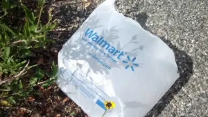 Lynette y las bolsas asesinas de Wal-Mart