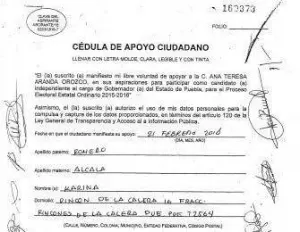 Figuran hija de Blanca Alcalá y delegado de Sedesol entre los apoyos de Ana Tere