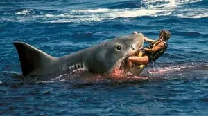 Gran tiburón blanco ataca a surfista en playas de California