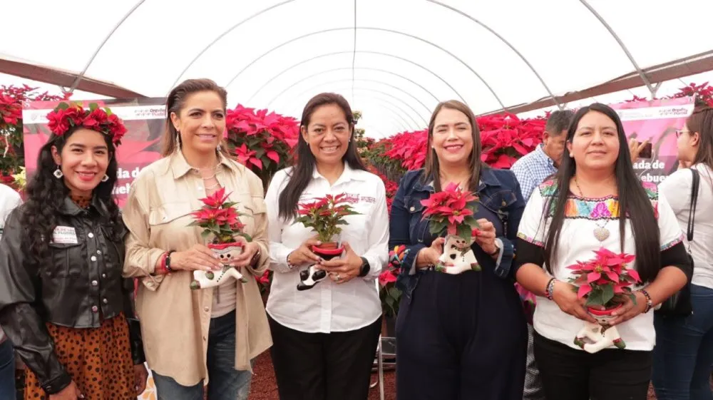 Ruta de las Mil Flores