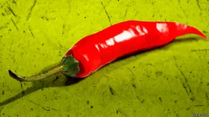 Puebla, dentro de la zona donde surgieron los primeros chiles domésticos
