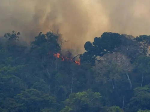 El humo de incendios en el Amazonas llega hasta Argentina