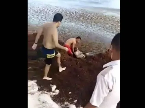 Video: Rescatan a turista que casi muere ahogada en sargazo
