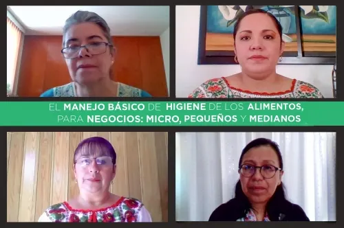 Principio fundamental de la higiene es el orden y la limpieza: académica Udlap