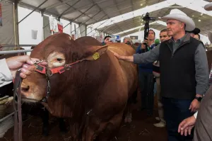 Presupuesto de 72 mdp de Sagarpa será enfocado a mujeres y sector