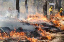 Sigue fuera de control incendio forestal en Cuyoaco