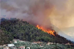 Autoridades estatales sofocan incendios