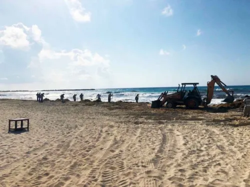 Denuncian retiro de sargazo en Cancún con maquinaria pesada