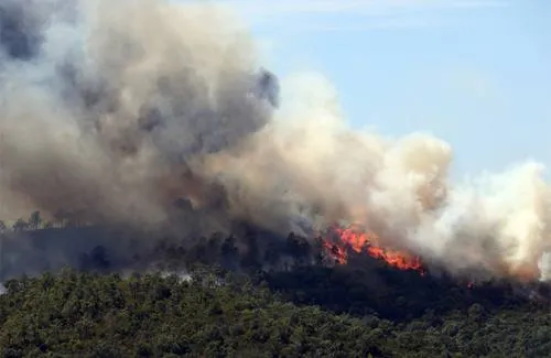 Desalojan a diez mil personas en Francia por incendio forestal
