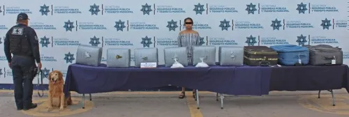 Detienen a mujer con más de 70 kilogramos de posible droga en la CAPU