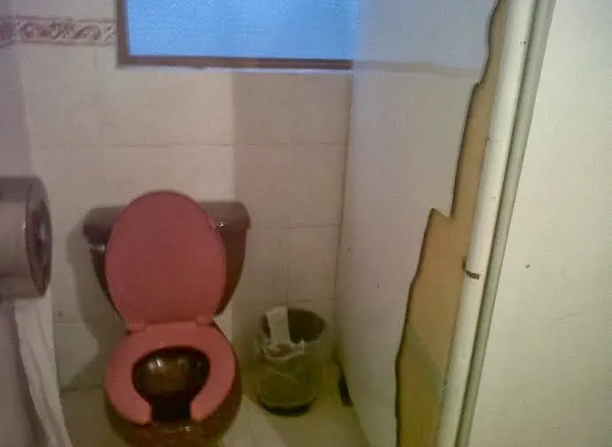 Imagen del artículo